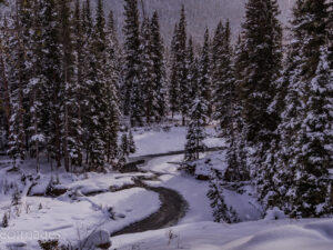 December - Soda Butte - YNP