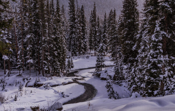 December - Soda Butte - YNP