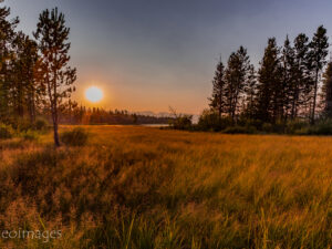 Landscape Photograph Open Space