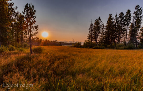 Landscape Photograph Open Space