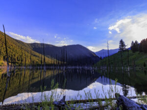 Landscape Photograph Quake Lake Reflection