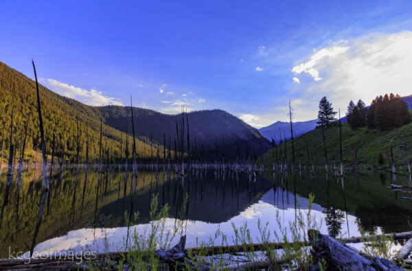 Landscape Photograph Quake Lake Reflection