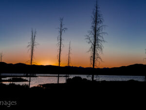 Landscape Photograph Tree Ghost