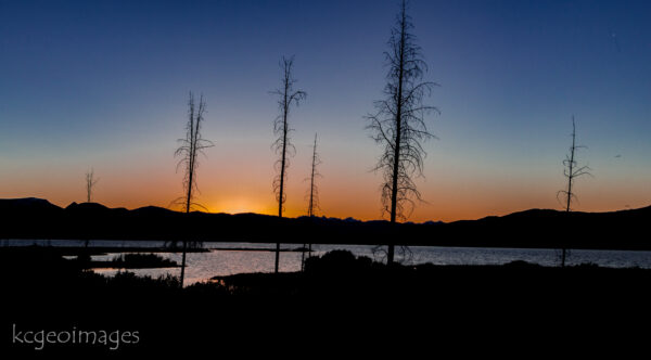 Landscape Photograph Tree Ghost