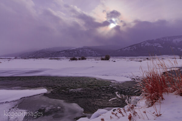 Winter - Lamar Valley - YNP