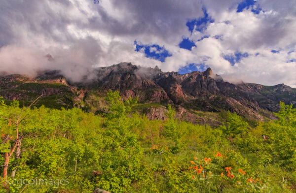 Landscape Photograph East Rosebud - Late Spring - ABW