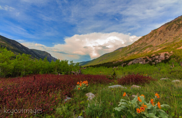 Landscape Photograph East Rosebud - Looking North - ABW