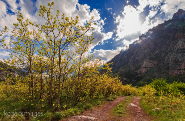 Landscape Photograph East Rosebud - Spring Sun - ABW