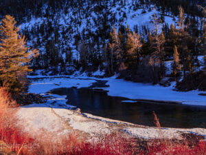 Landscape Photograph In the Shadows - North Fork of the Shoshone