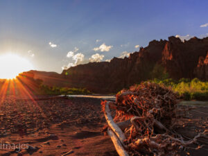 Landscape Photograph The Art of Nature - North Fork of the Shoshone