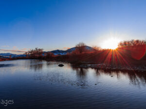 Landscape Photograph Upper Yellowstone - Backwater