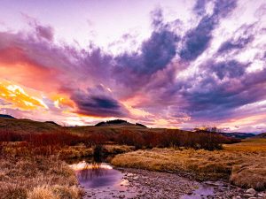 Landscape Photograph Heading-into-Winter